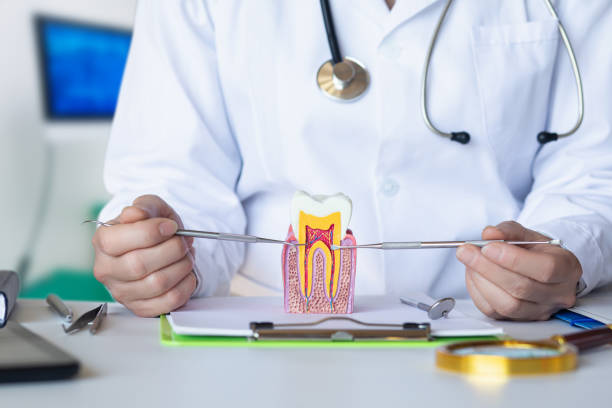 Best After-Hours Emergency Dentist in Boulder Hl, IL